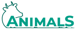 Logo Animals